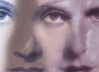 ‘Moet ik als Duitse de Duitsers vergeven?’ Een interview met Karin Wieland