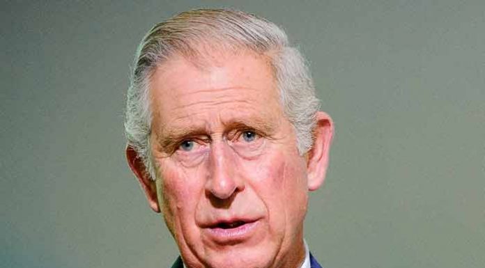 Het publieke en private leven van prins Charles