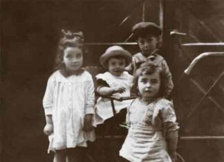 Veertien kinderen. De oorlogsgeschiedenis van mijn joodse familie