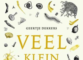 Het verdriet van Antoni van Leeuwenhoek