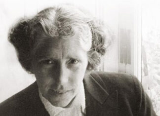 Het vertroebelde oog. Het onbegrepen leven van Greet Hofmans