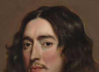 De wereld van De Witt 1625-1672