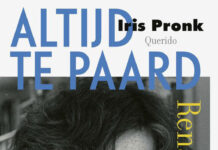 Renate Dorrestein: een ‘klerewijf’ aan de literaire top