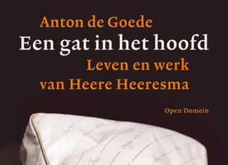 Een gat in het hoofd. Leven en werk van Heere Heeresma