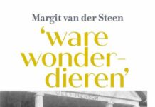Portret van de eerste vrouwen in de Nederlandse politiek