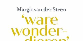 Portret van de eerste vrouwen in de Nederlandse politiek